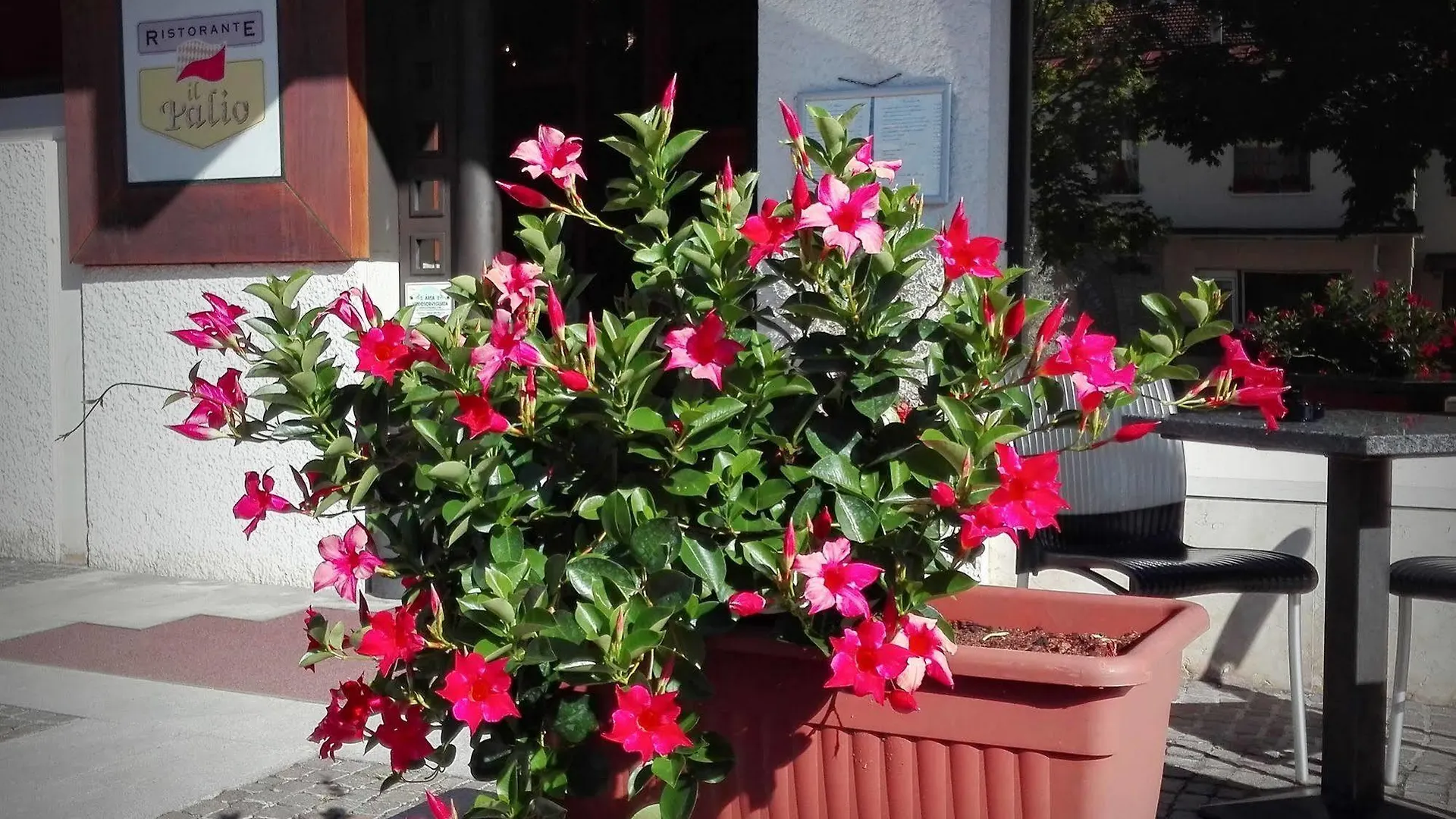 Hotel Casagrande Feltre Italy